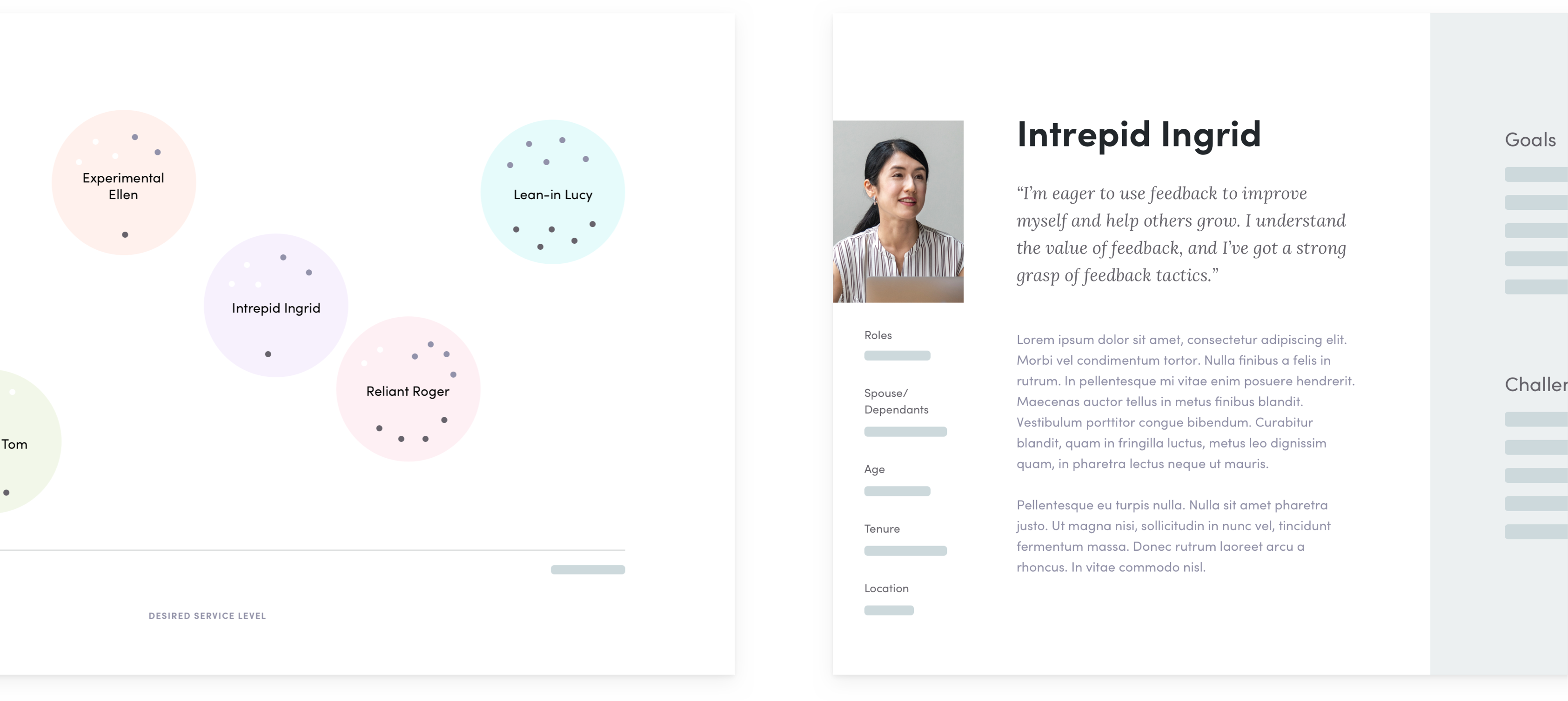 Example of different employee niches and a sample profile in the HR system.