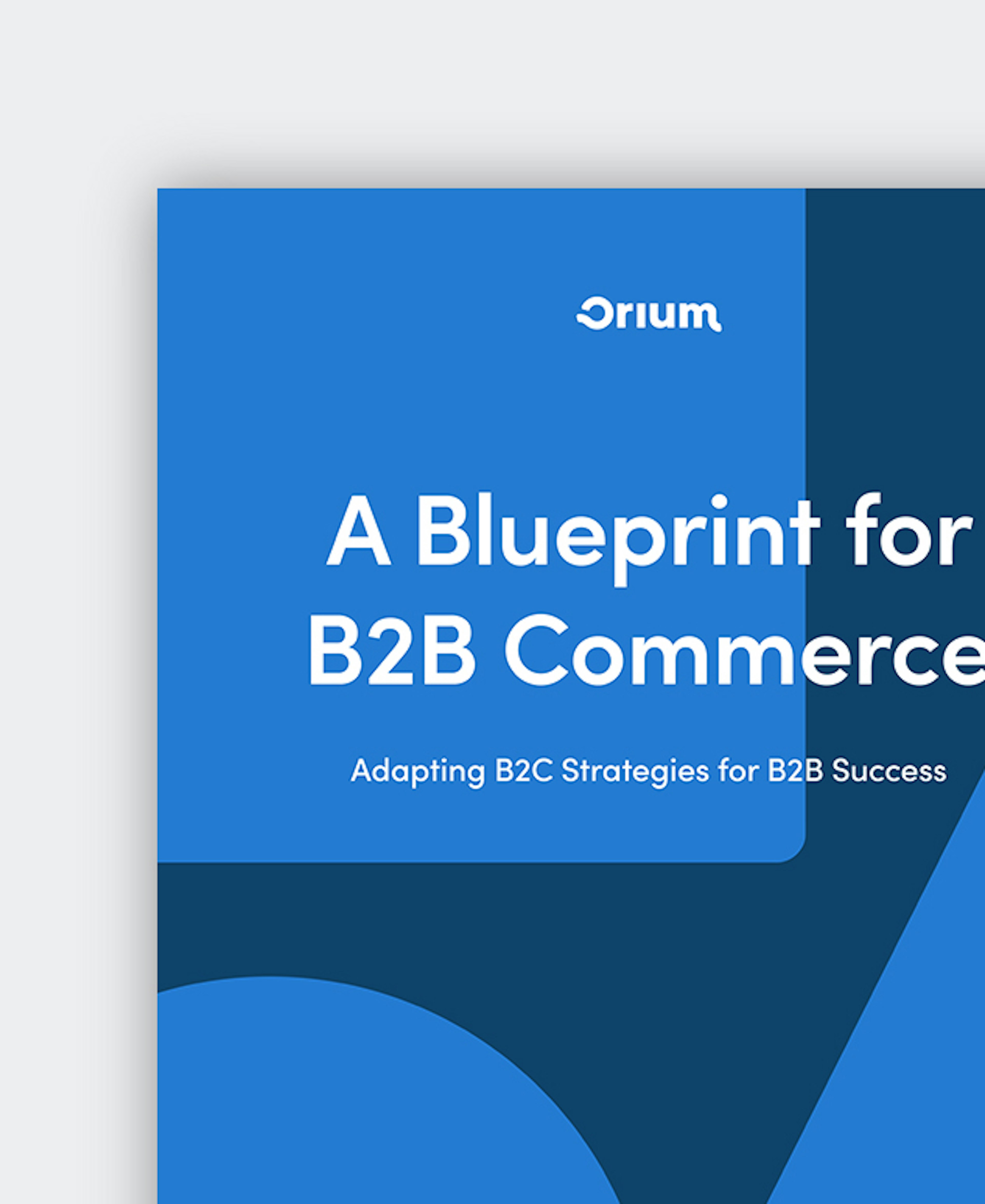 Secondary Resource: A Blueprint for B2B Commerce - Cover Image