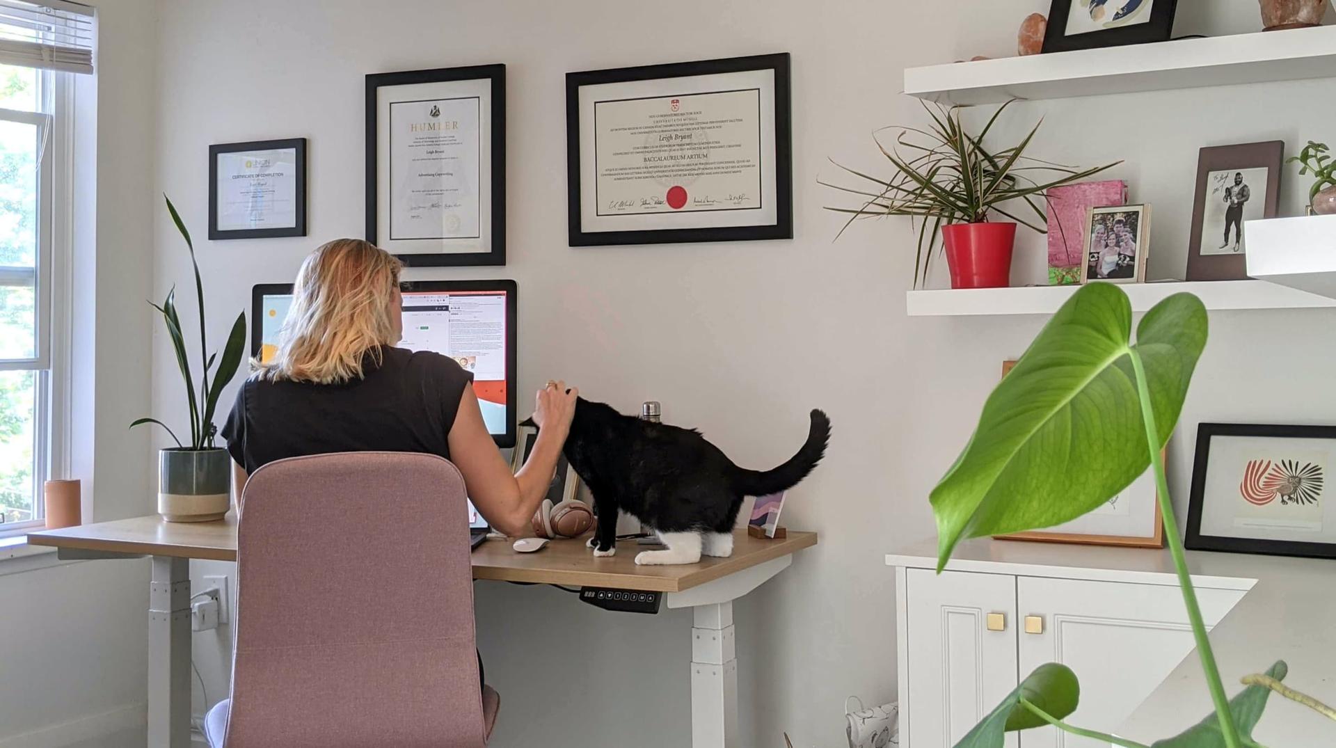 Orium employee working from home at a desk, petting their cat.
